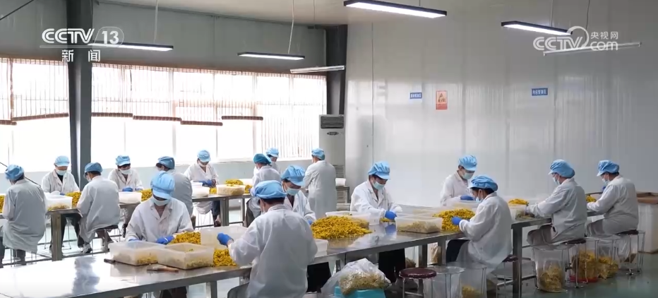 传统景区不断“破圈”“出圈” 文旅+创新”激发经济澎湃活力(图8)