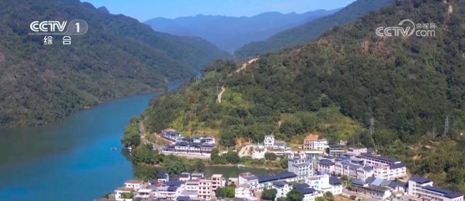 寻味“舌尖上的端午” 各地节令美食成为中华民俗文化的鲜活注脚(图1)
