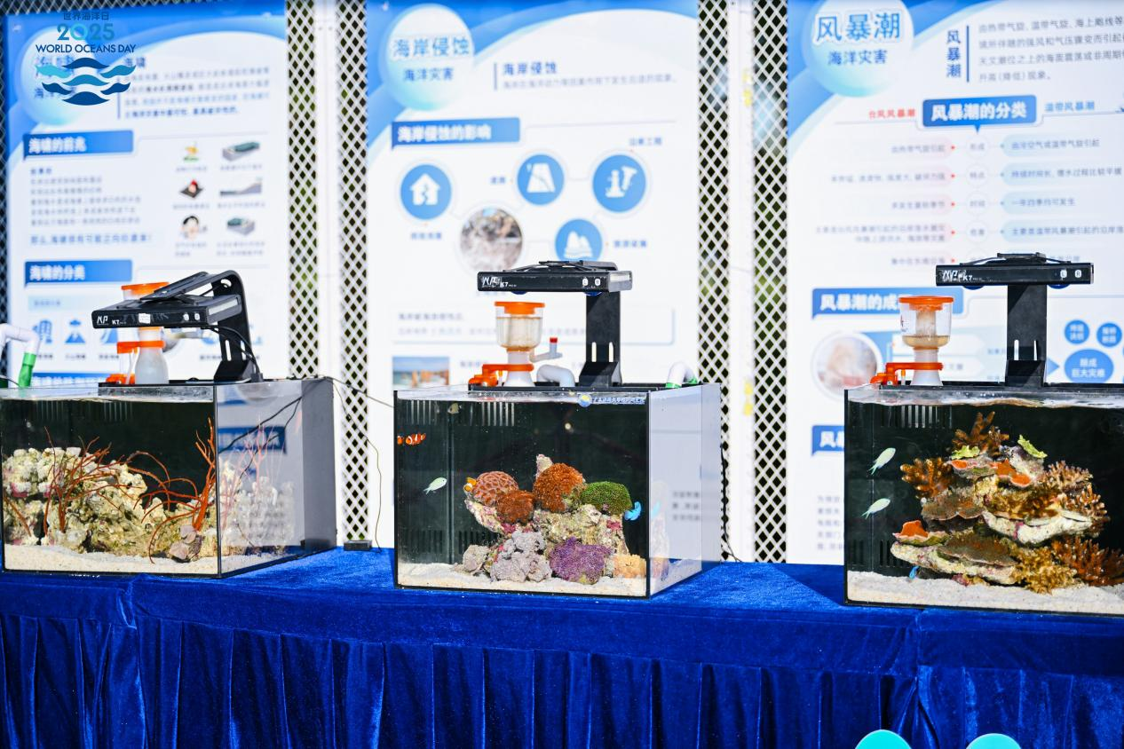 广东2025年世界海洋日暨全国海洋宣传日主场活动在深圳举办(图2)