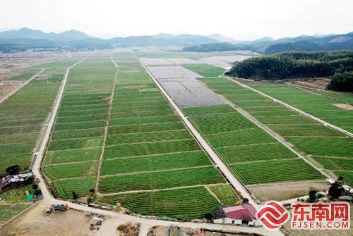 浦城：聚焦“一优两特三宝” 打造特色农业产业矩阵(图1)