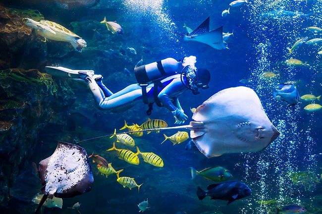 2024年海洋生产总值首次突破10万亿元 海洋生态状况总体稳定(图1)