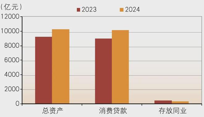 消费金融公司2024年发展如何？(图1)