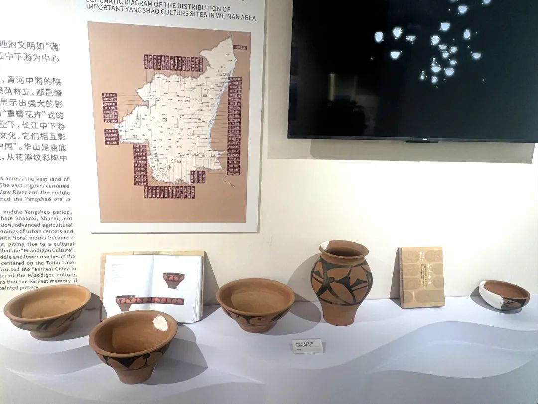 “家在黄河 太华之间”渭南历史文化展亮相上海(图7)
