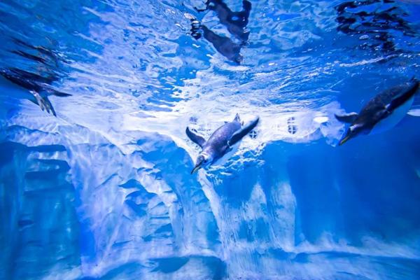 10万亿产值8万亿市值海洋经济的大棋局与大前途！(图1)