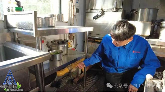 人日人在线视频_人日人在线视频V(图2)