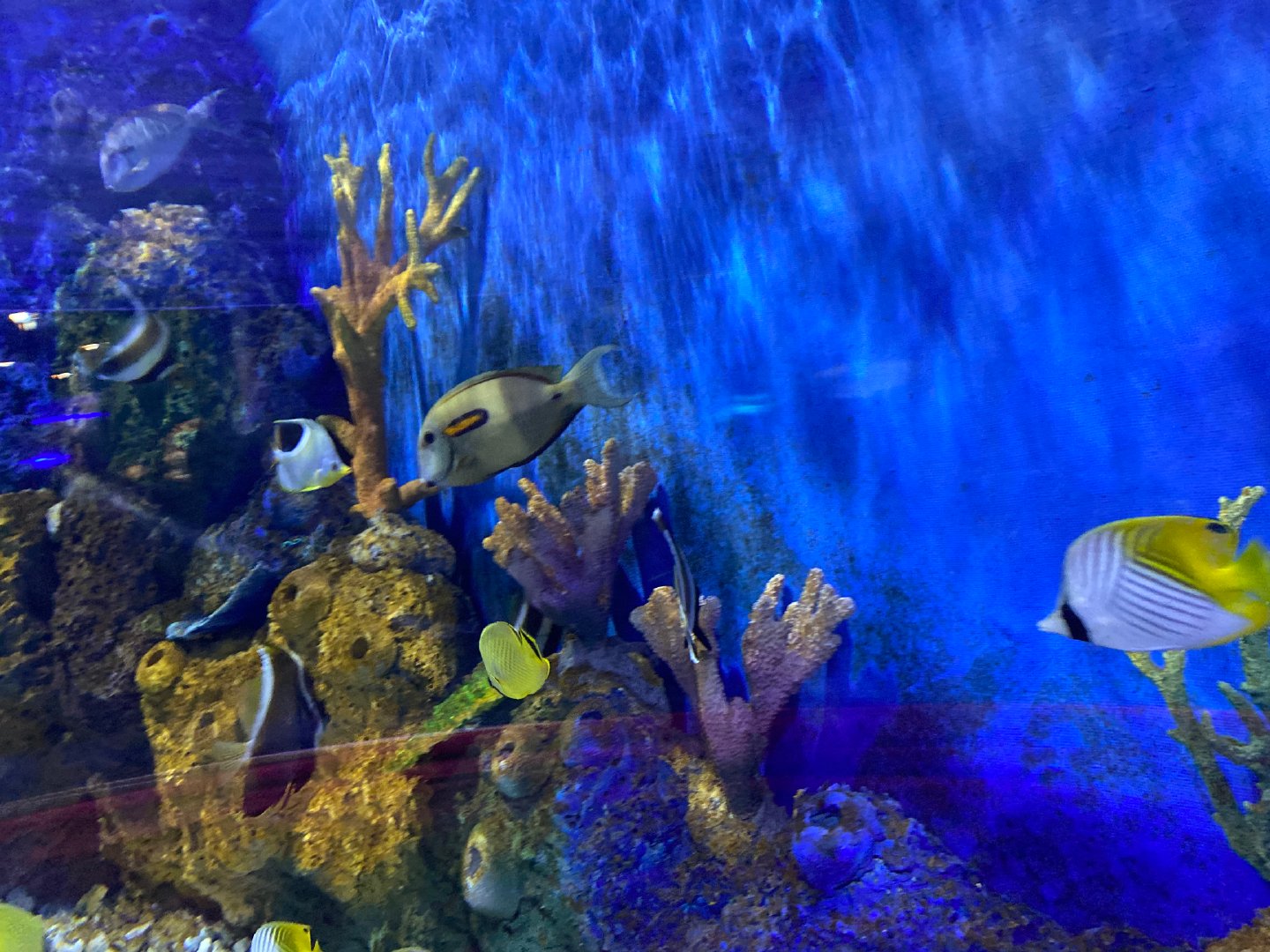 第一现场丨阿联酋亚斯岛这样打造旅游热点(图1)