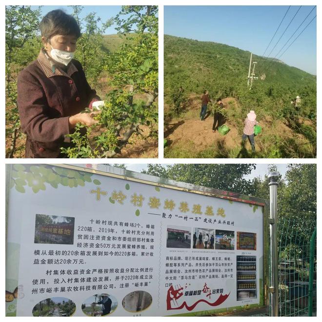 汝州非遗美食与大山农产品的完美融合(图2)