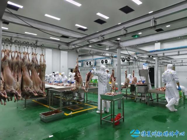 清泉浇灌产业花—— 东乡县济临协作帮扶产业发展侧记(图3)