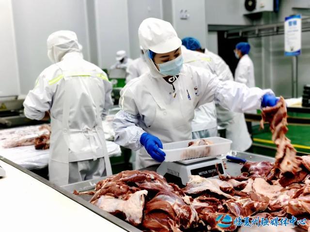 清泉浇灌产业花—— 东乡县济临协作帮扶产业发展侧记(图4)