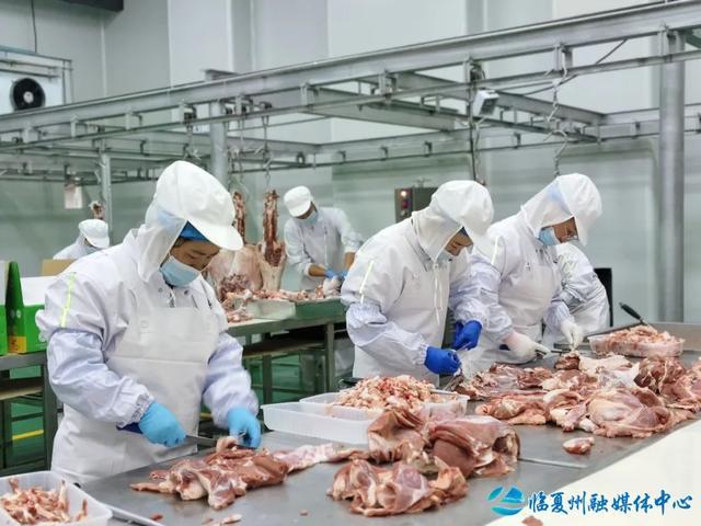 清泉浇灌产业花—— 东乡县济临协作帮扶产业发展侧记(图5)