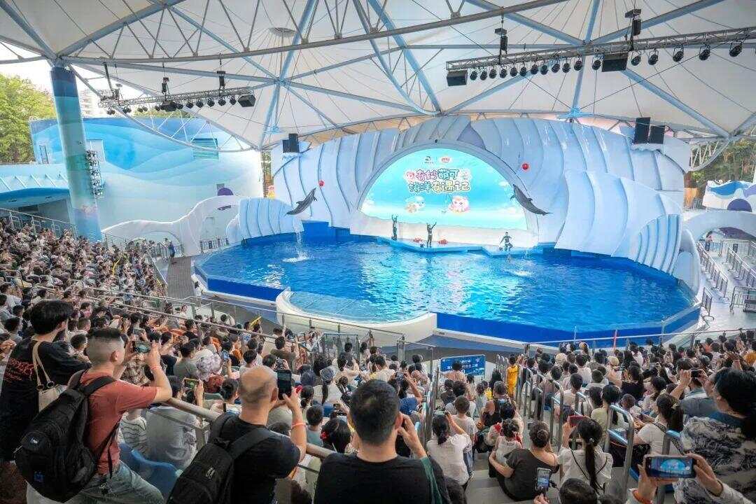 今天现役及退役军人免费！广州海洋馆致敬“最可爱的人”(图3)