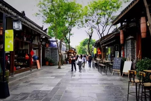 巷子做什么项目赚钱最快(图1)