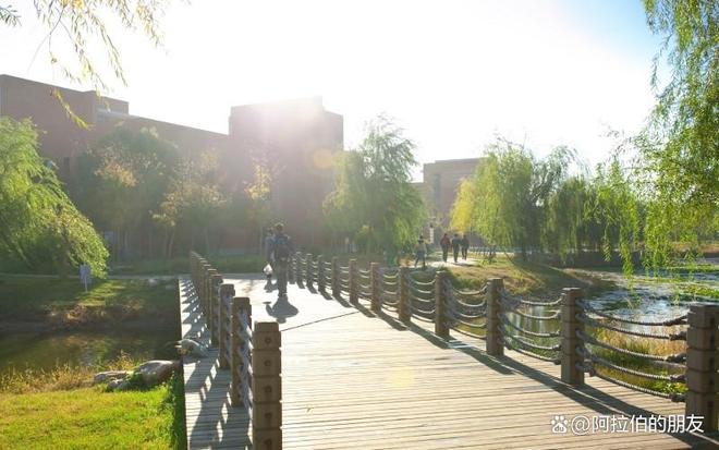 沈阳工业大学：工科强校的百年传承与现代创新之路(图5)