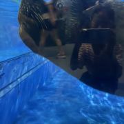 推动全球治理更加公正合理(图1)