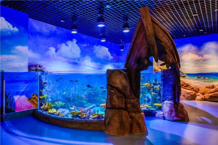 北京一大型室内海洋馆开建！预计开放时间→(图1)