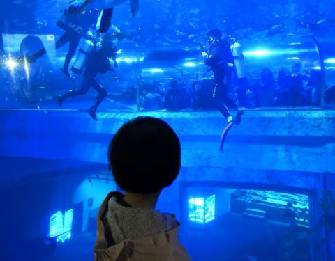 默林回应杜莎夫人关停：租约到期押注乐高乐园(图1)