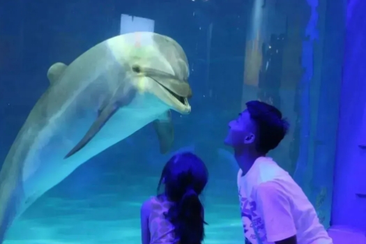 北京杜莎谢幕默林娱乐全球“瘦身”战略背后有何隐情(图1)