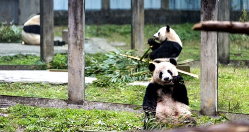 2025国庆重庆亲子游好去处推荐(图1)