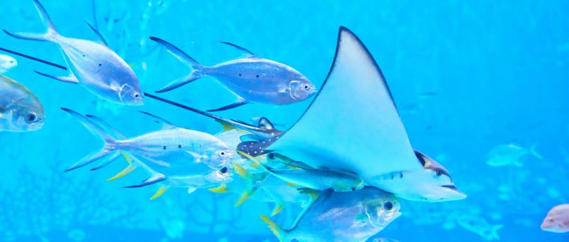 2025国庆重庆亲子游好去处推荐(图4)