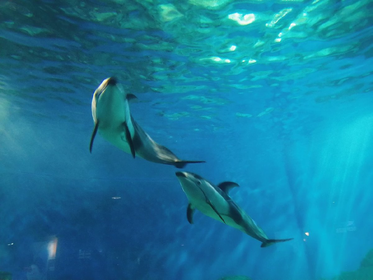 2025国庆重庆亲子游好去处推荐(图3)