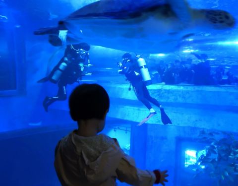 2024年我国海洋生产总值比“十三五”末增长34%(图1)