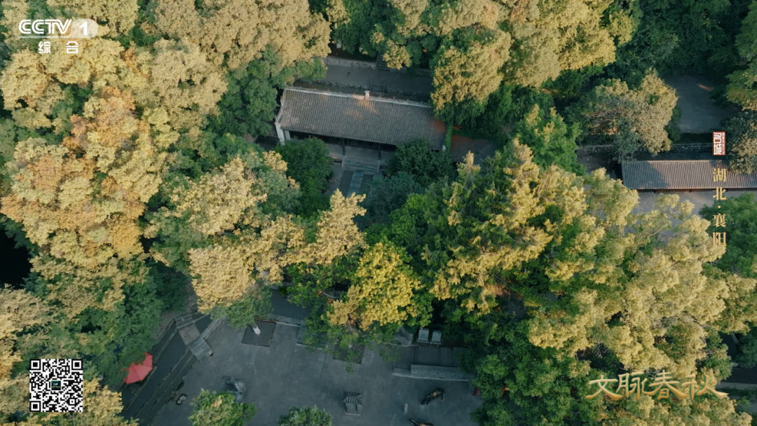 央视《文脉春秋》聚焦襄阳！解码“华夏第一城池”的千年传奇(图6)