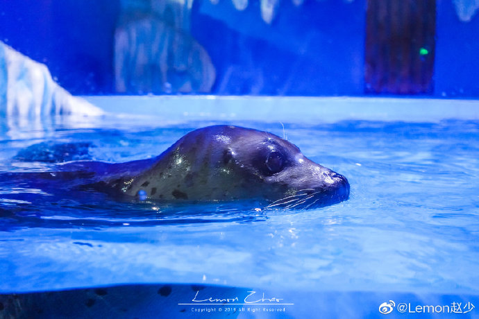 2024深圳海上世界国庆水秀表演时间表(图1)