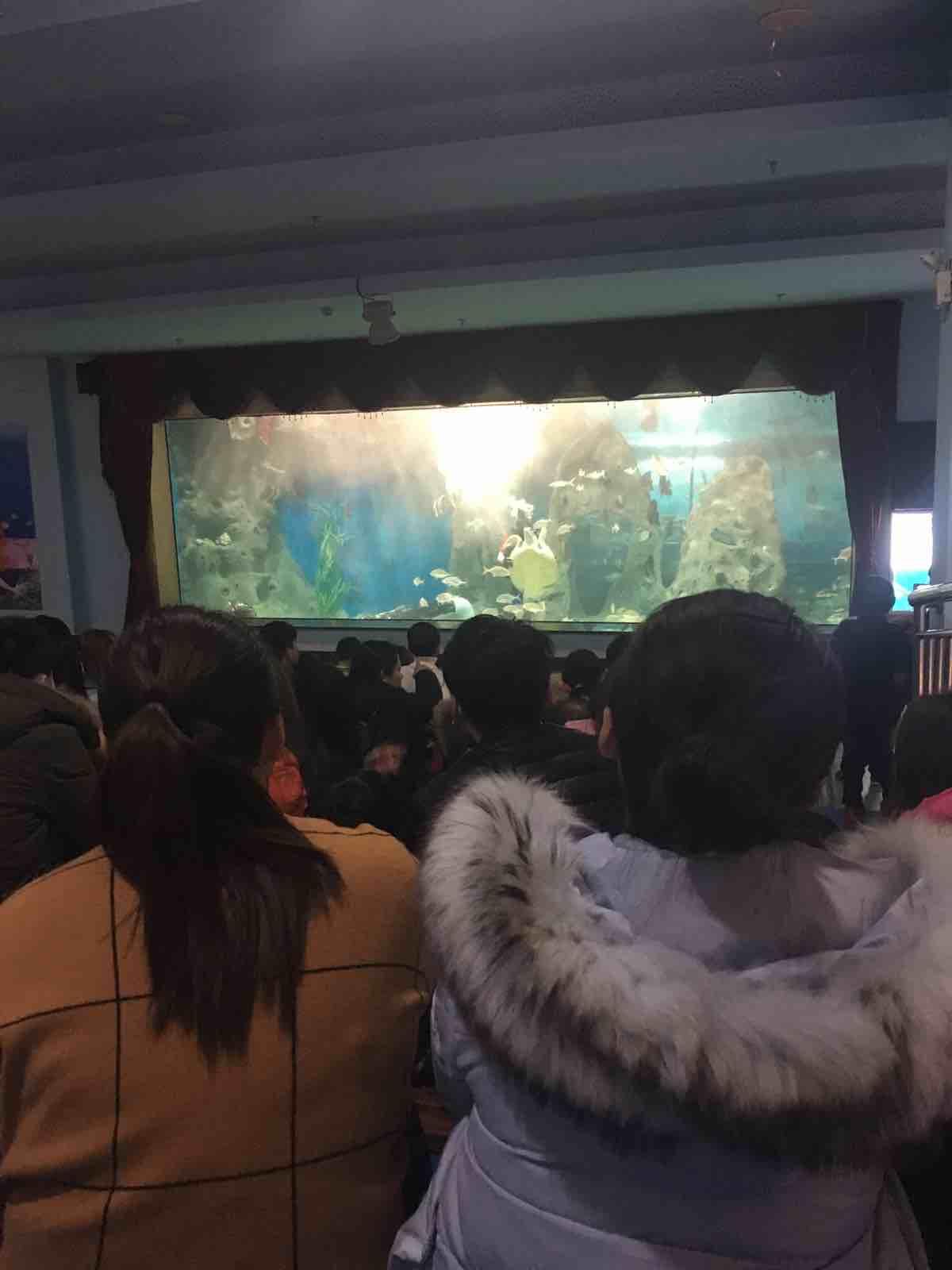 锚定“人海和谐”建设海洋生态(图1)