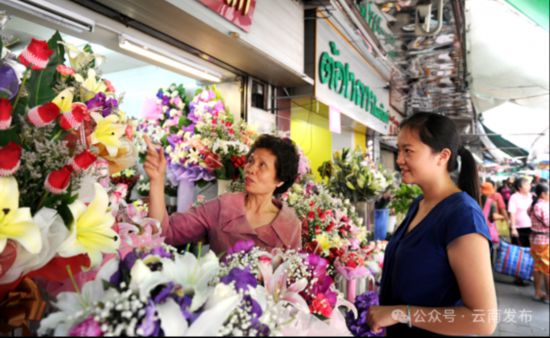 省委书记王宁：主动服务和融入高质量共建“一带一路”云南开放之路越走越宽(图4)