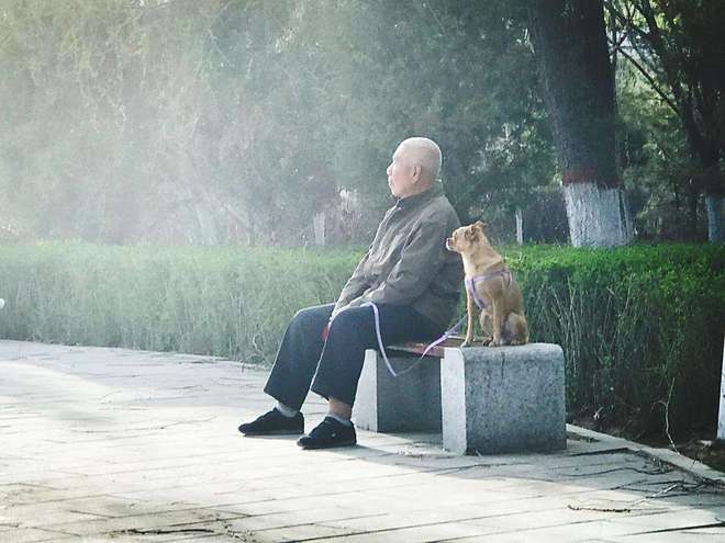 从饮食到社交：全面解读老年人健康的9个关键指标(图10)